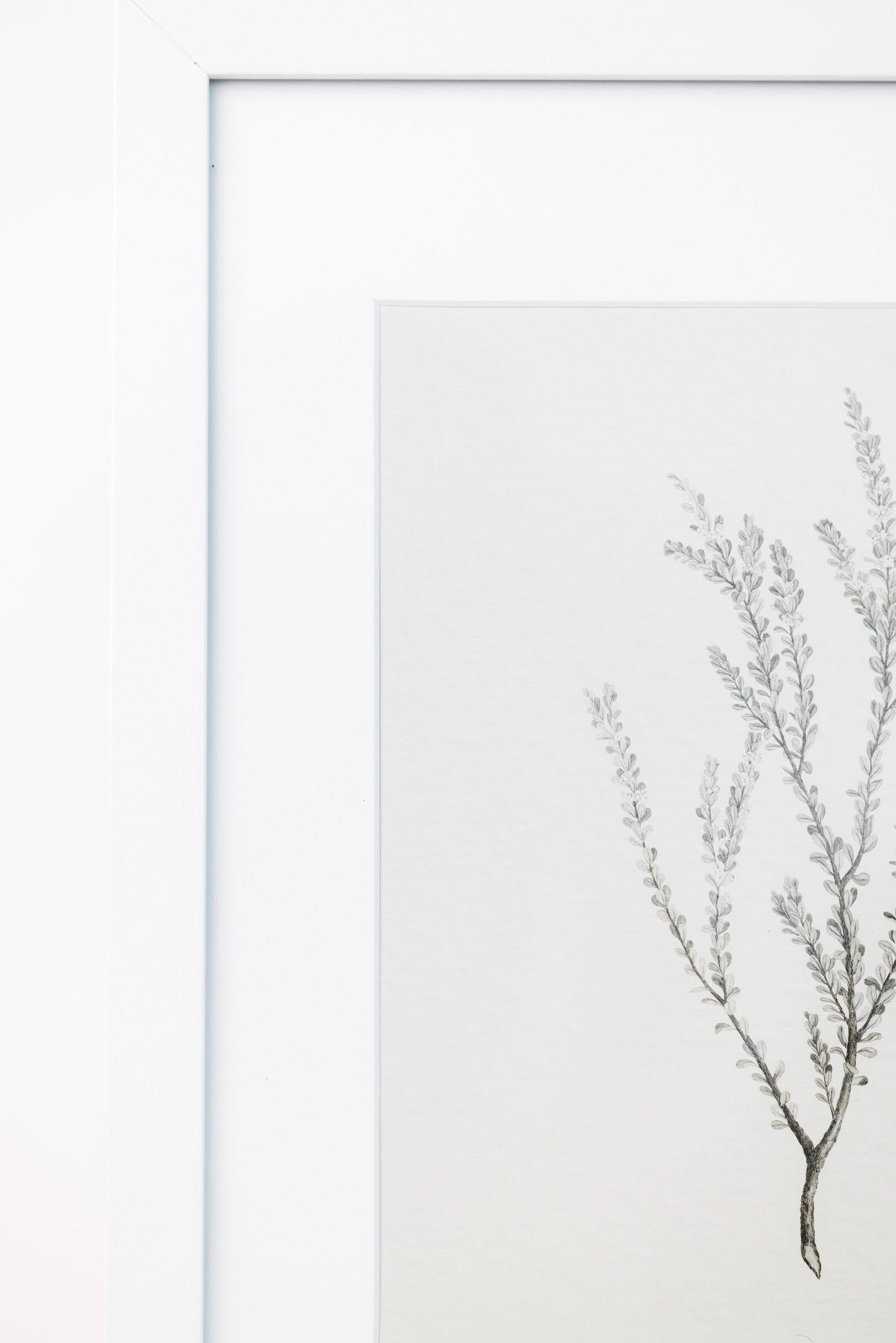 Enid Wall Art