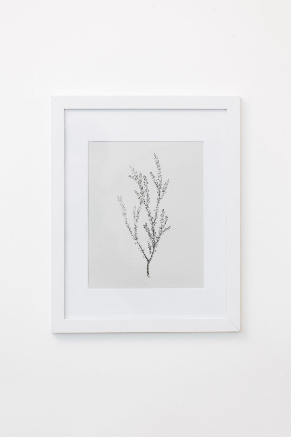 Enid Wall Art