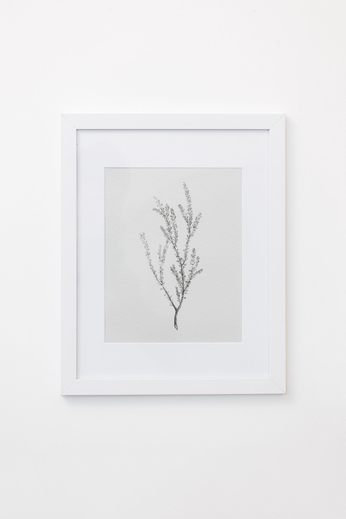 Enid Wall Art