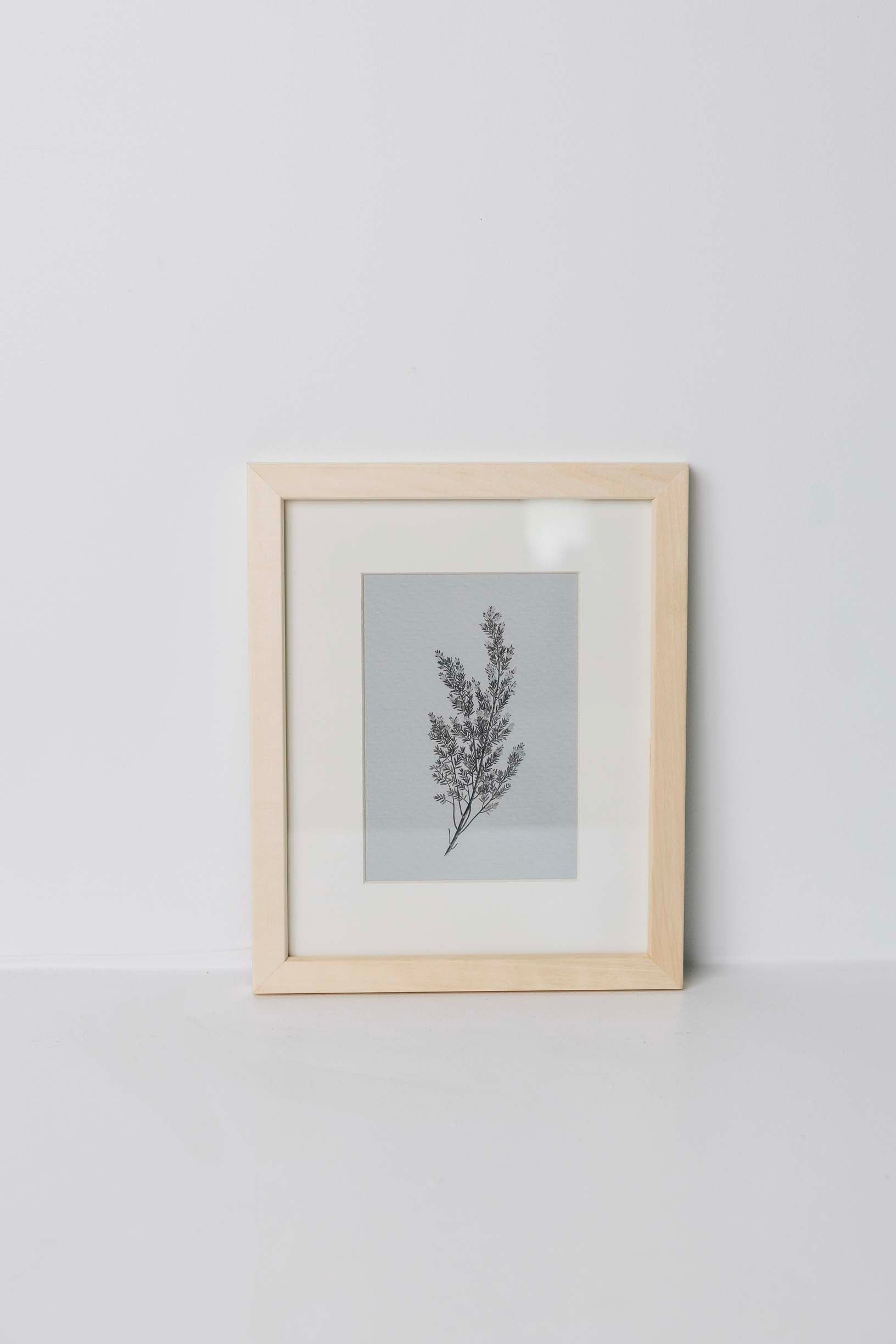 Fauna Wall Art
