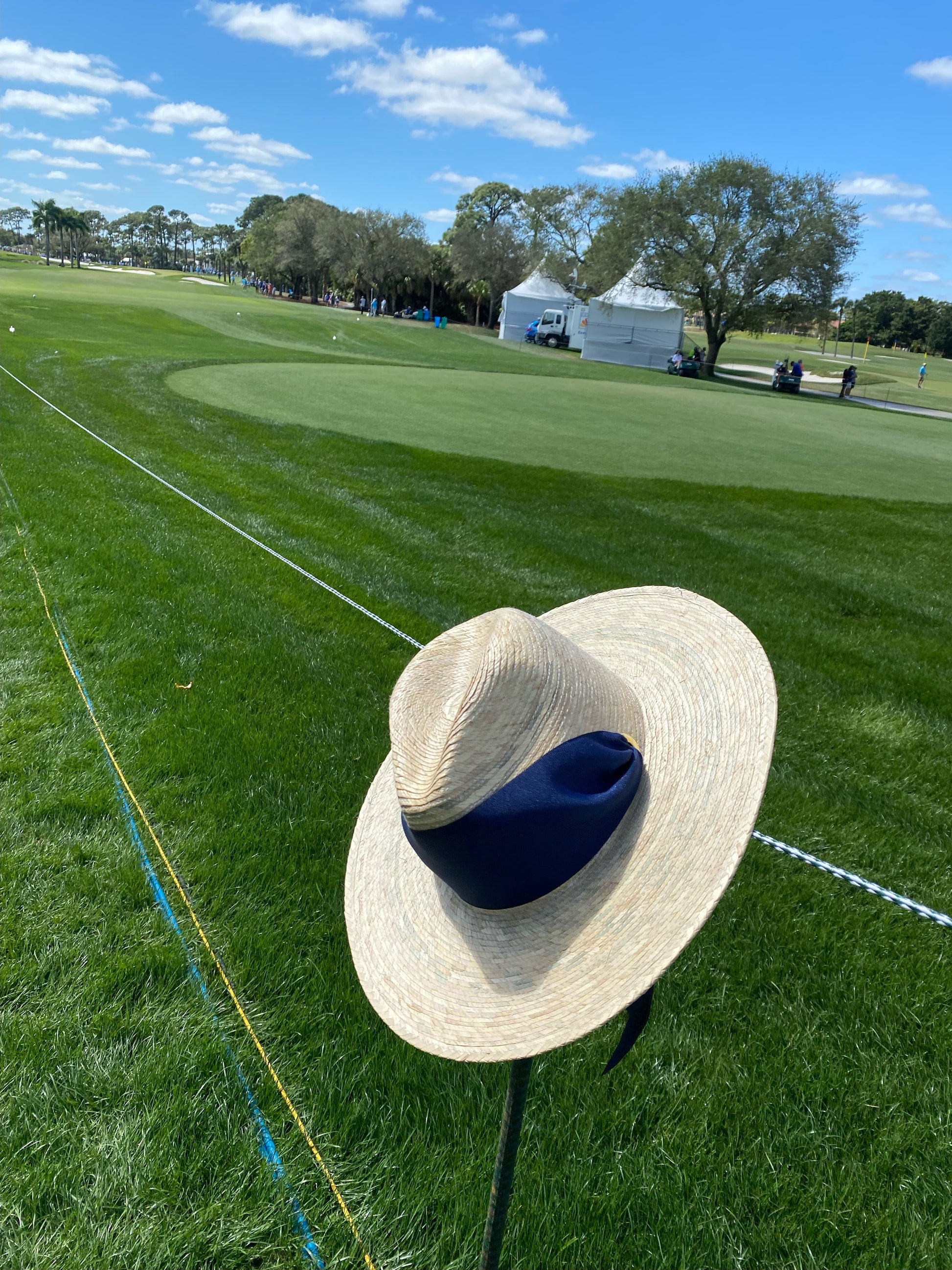 Navy Grosgrain Ribbon - Wide & Short
